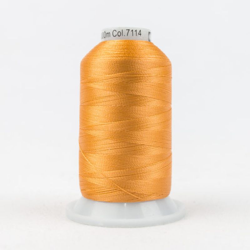Splendor Butterfly Orange