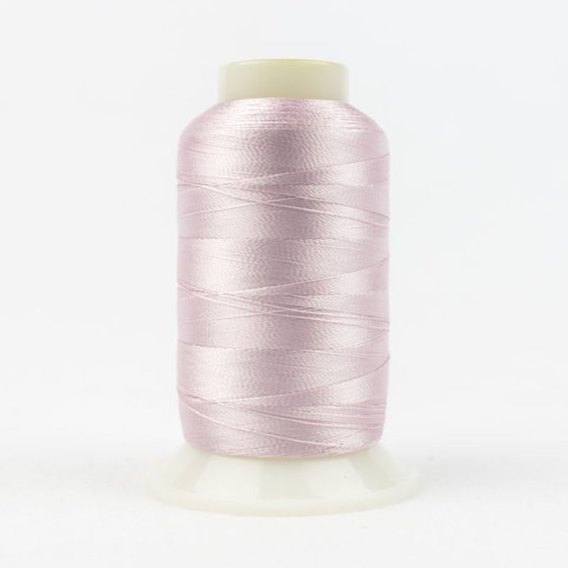 Splendor Orchid