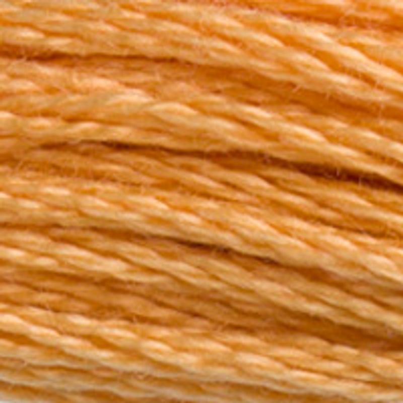 DMC Mouline 3827