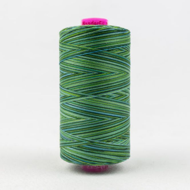 Hovedbilde Tutti Evergreen