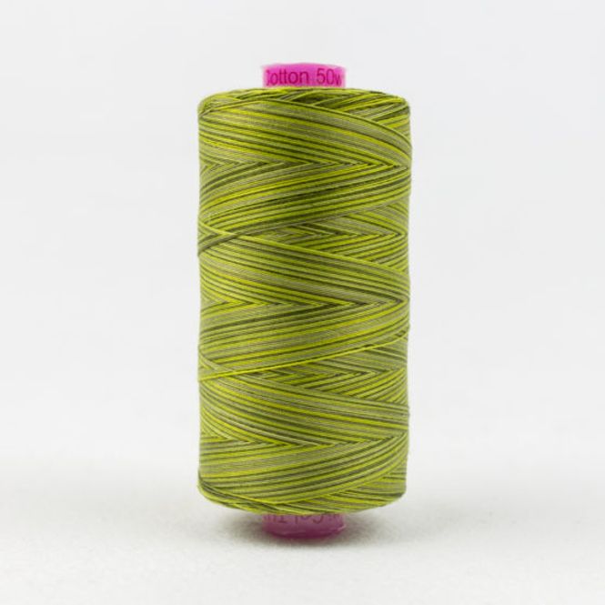 Hovedbilde Tutti Moss