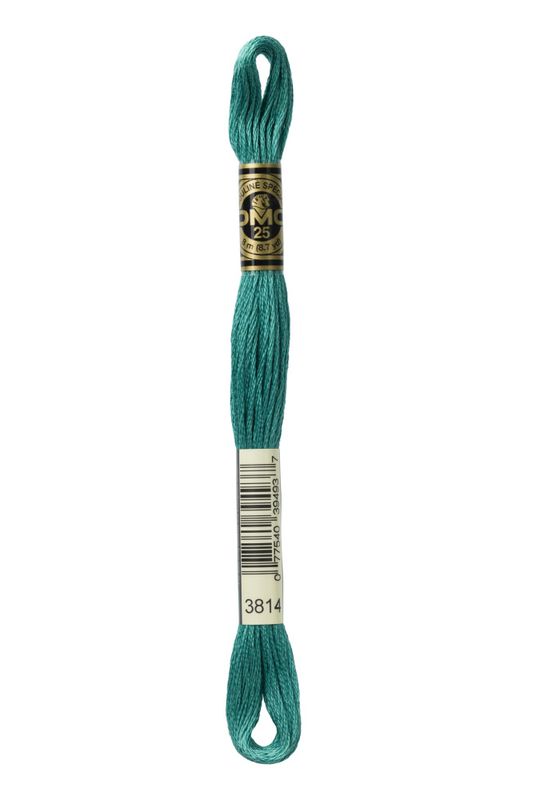 DMC Mouline 3814