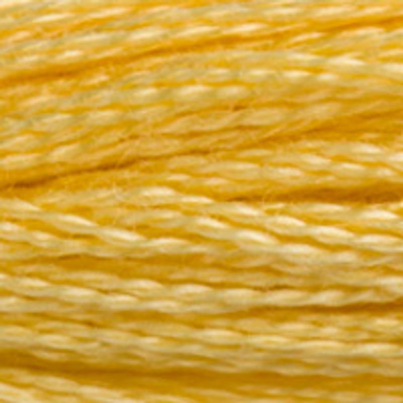 DMC Mouline 3822