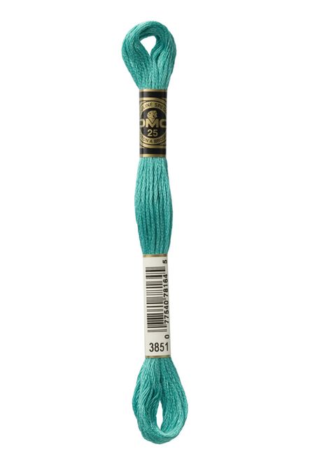 Hovedbilde DMC Mouline 3851
