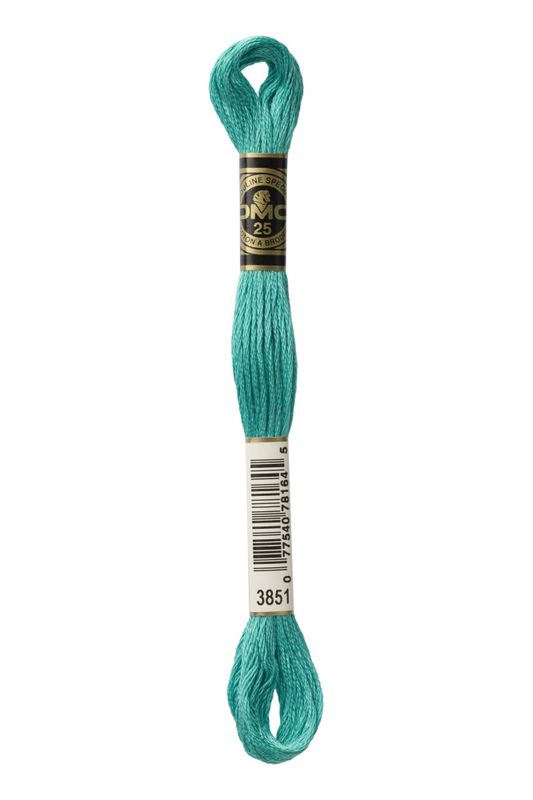 DMC Mouline 3851