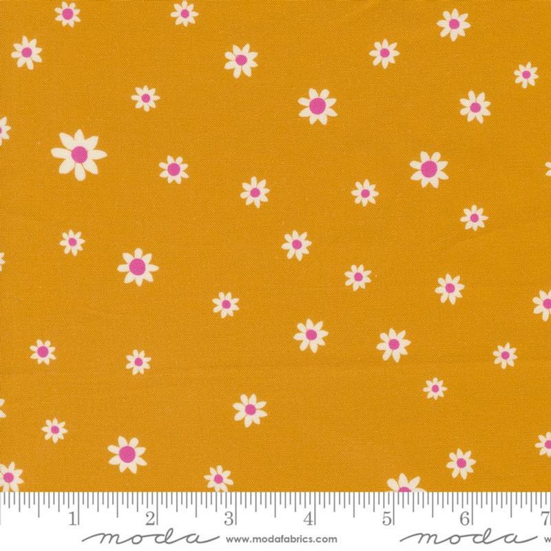 Orange med hvite små blomster