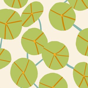 Ruby Star - Calathea 5188 11 kommer